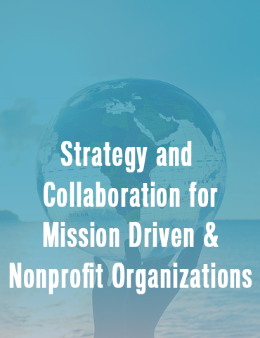 Strategy and Collaboration for Mission Driven and Non-profit Organizations
